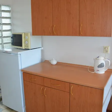 Guest house Ubytovani Na Arealu *